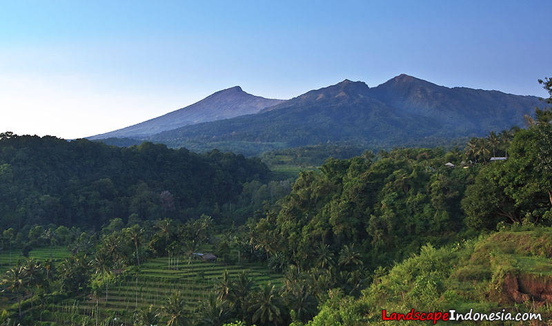 Gunung Rinjani dari desa Senaru Gunung Rinjani dari desa Senaru